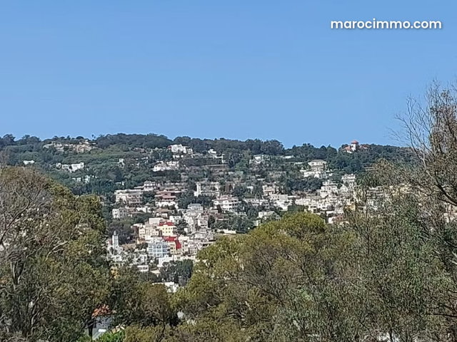 Beau Terrain 800 m2 en vente à Californie — 3