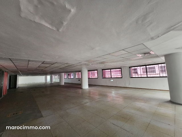 Plateau bureau 1800 m² proche tram Marché Central — 3