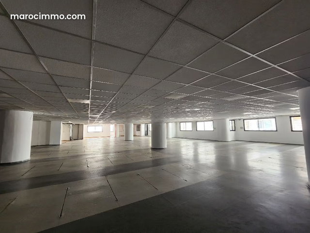 Plateau bureau 1800 m² proche tram Marché Central — 5