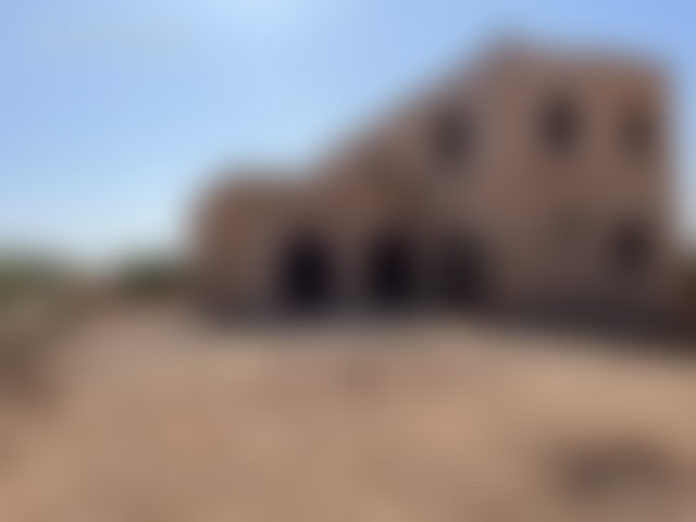 مزرعة زيتون مجهّزة للبيع بسيدي بو عثمان — 2