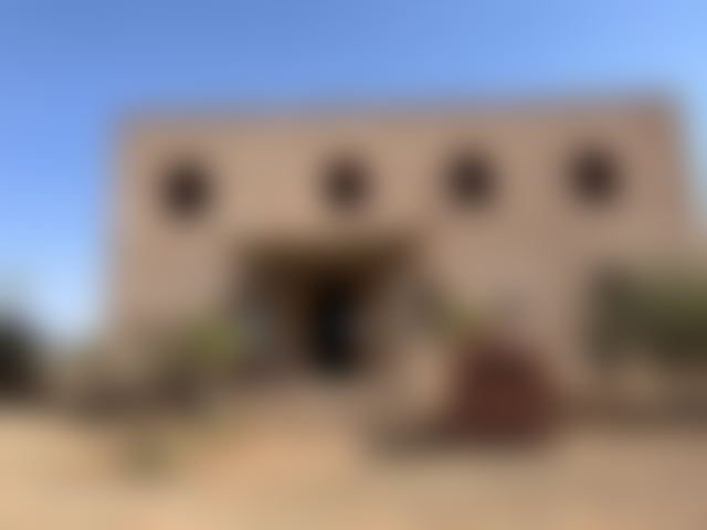 Agricultural Farm in Sidi Bou Othmane – 2.5 ha of Olive Trees — Sidi Bou Othmane