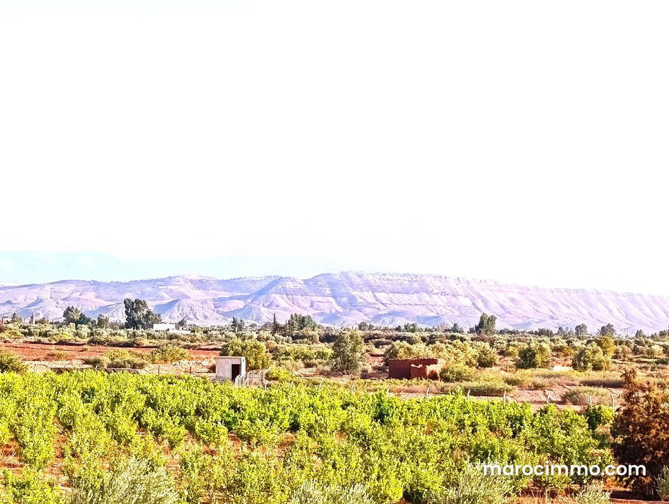 Ferme Titrée À Vendre à 28km de Marrakech