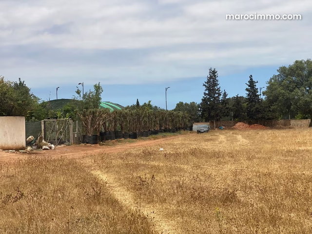 Terrain à vendre à El Menzeh — 2
