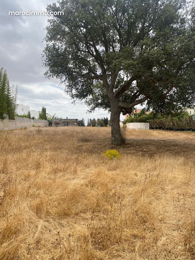 Terrain à vendre à El Menzeh — 3