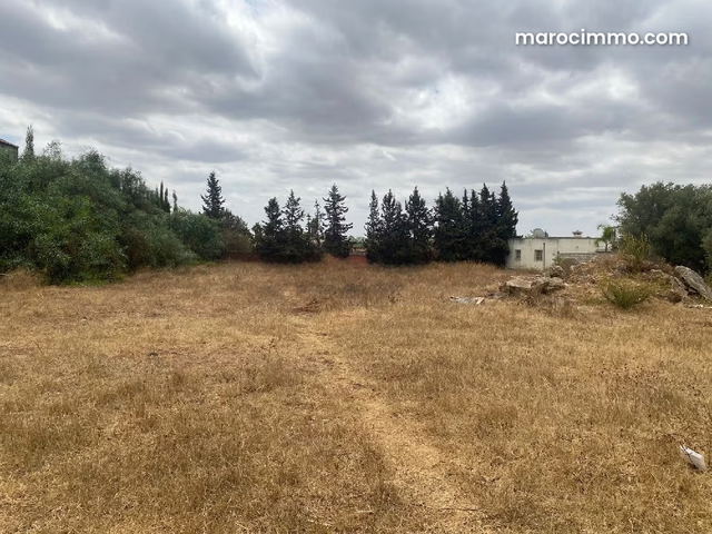Terrain à vendre à El Menzeh — المنزه