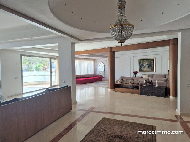 Grand appartement Racine Extension — 2