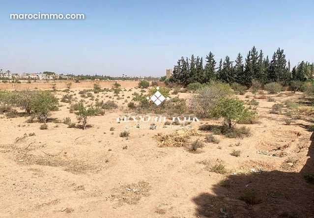 Terrain palmeraie 1ha – zone villa — 2