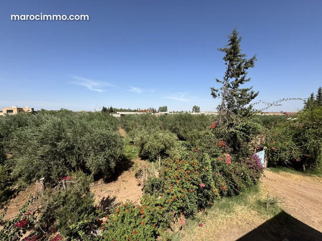 Opportunité Rare: Villa Plain Pied à Vendre à Amizmiz, Idéale pour Maison d’Hôtes — 3
