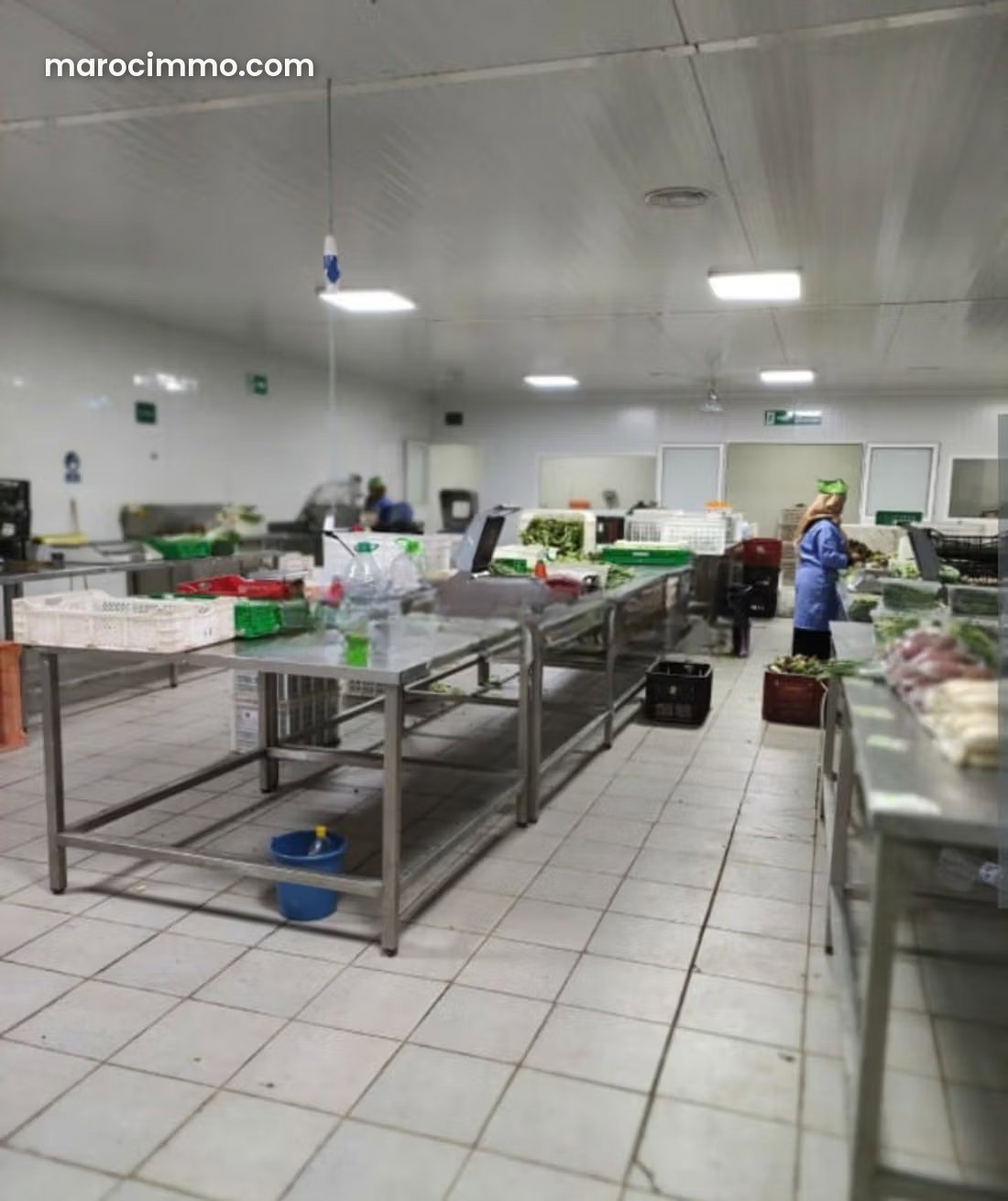 ONSSA-Approved 310 m² Packing Facility, Bouskoura Victoria — Bouskoura