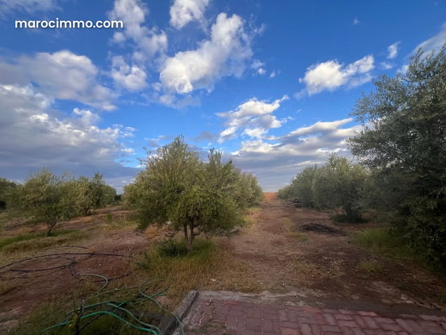 For Sale: Agafay Road Land, Exceptional Arbored Ideal for Villa Project — 5