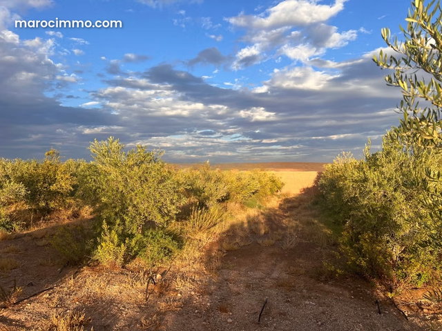 For Sale: Agafay Road Land, Exceptional Arbored Ideal for Villa Project — 2
