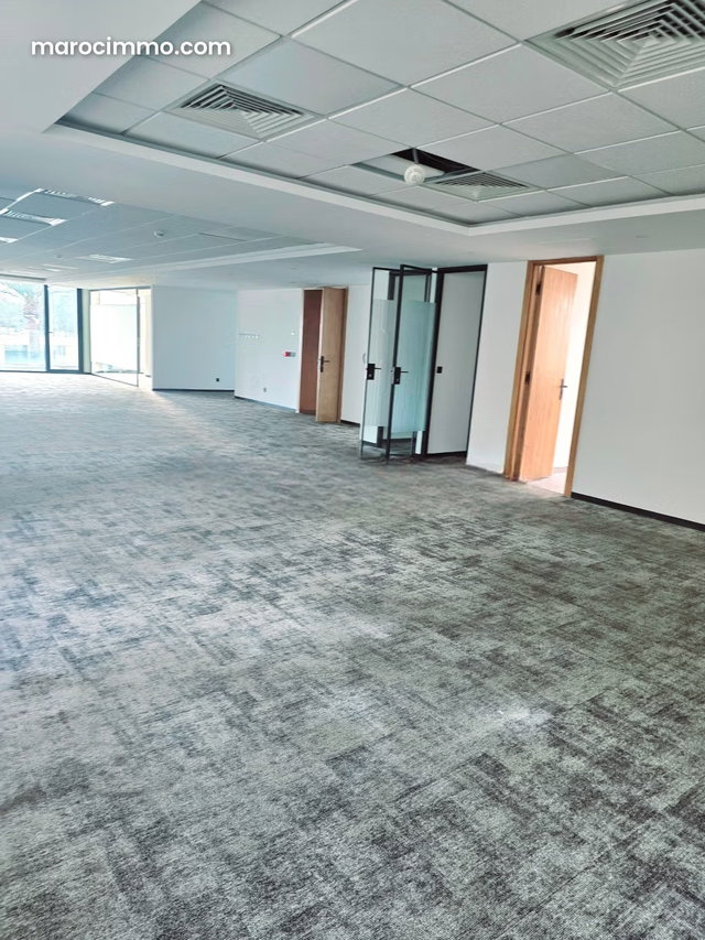 Cozy Office Space — 2