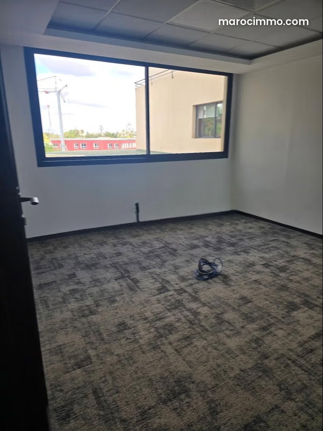 Cozy Office Space — 4