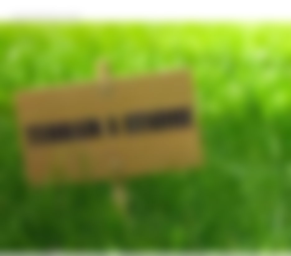 أرض فسيحة للبيع قرب كورنيش سيدي بوقنادل