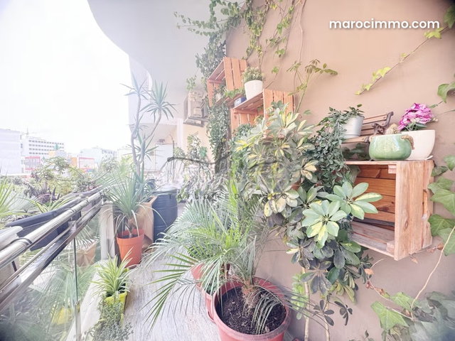 Appartement de deux chambres meublé à louer à palmier — 3
