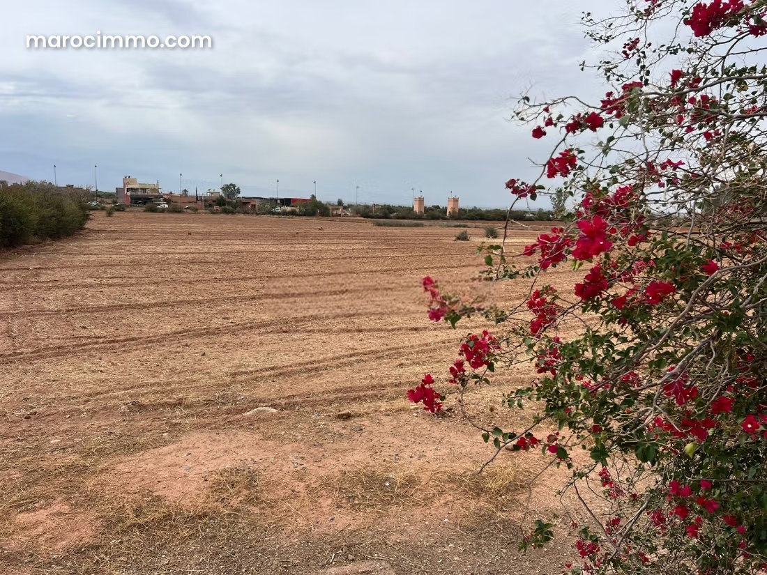2.2 ha Plot of Land for Sale in Ait Ourir, E2/E3 Development Zone — Ait Ourir