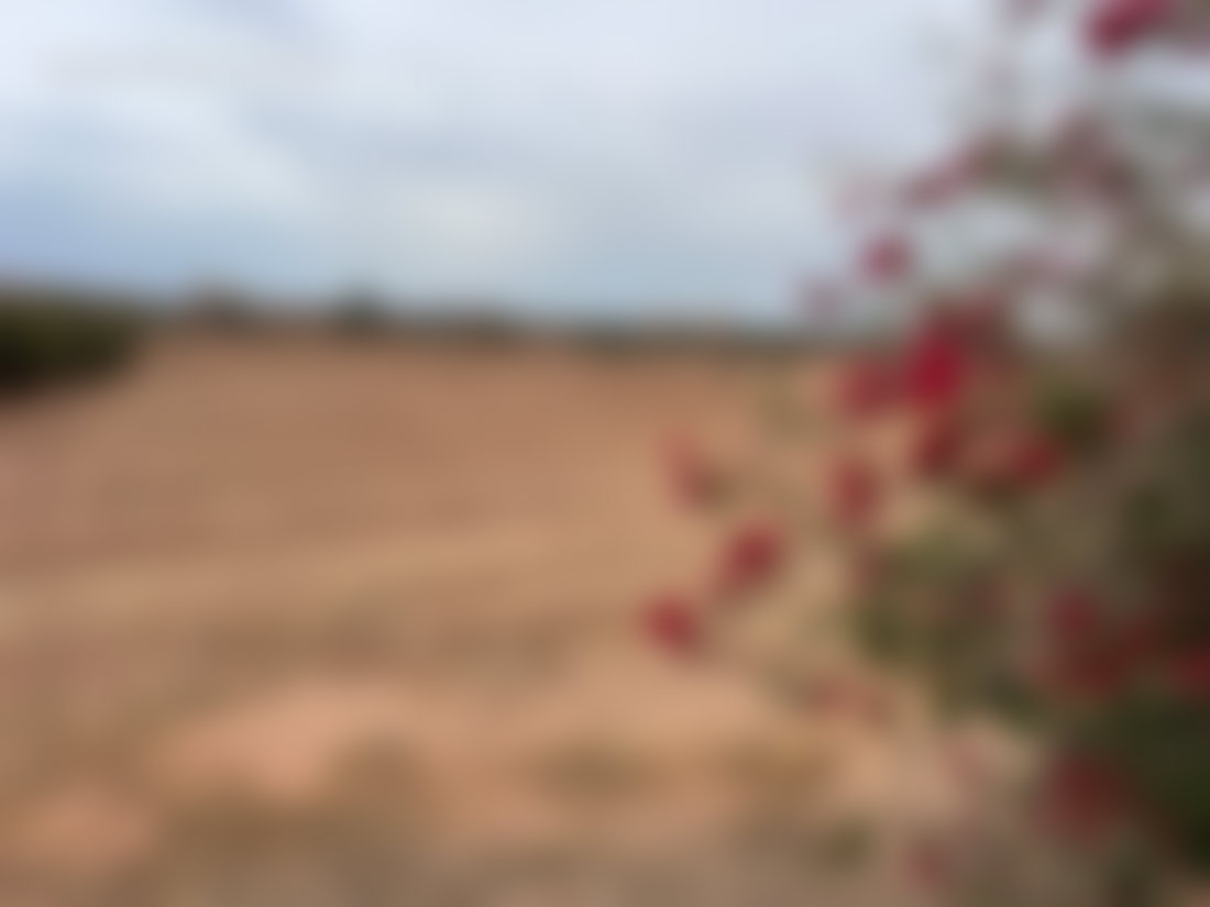 أرض صالحة للتعمير على مساحة 2.2 هكتار بآيت أورير