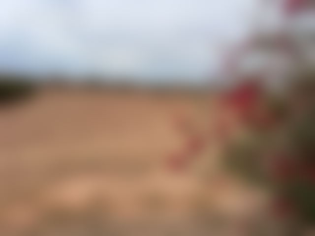 2.2 ha Plot of Land for Sale in Ait Ourir, E2/E3 Development Zone — Ait Ourir