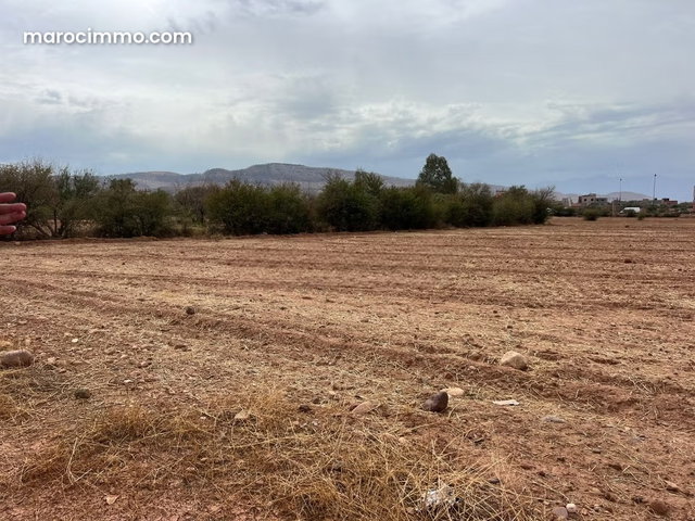 Exceptional Land: 2.3 Hectares in Ait Ourir — 2