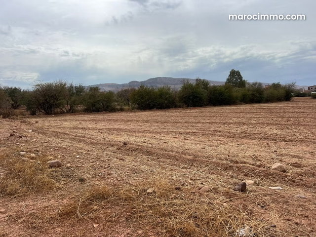 Exceptional Land: 2.3 Hectares in Ait Ourir — 4