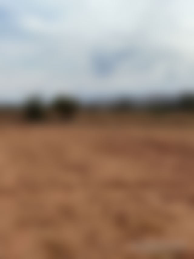 Large Development Plot in Ait Ourir Near Marrakech — Ait Ourir