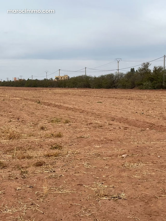 Exceptional Offer: 3 Hectares in Ait Ourir — 4