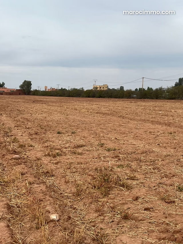 Exceptional Offer: 3 Hectares in Ait Ourir — 2