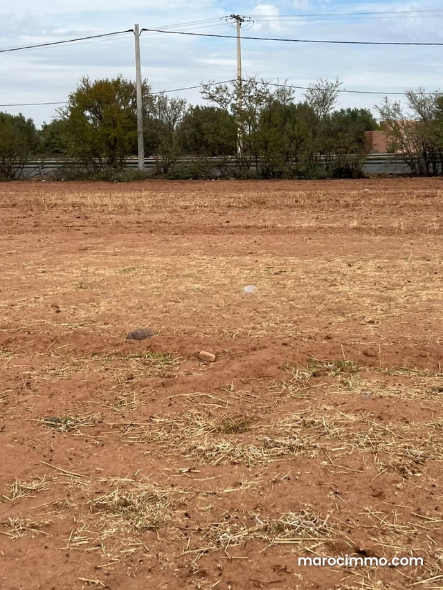 Exceptional Offer: 3 Hectares in Ait Ourir — 3