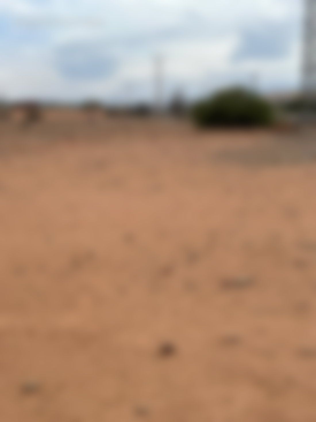 أرض فسيحة للبيع بآيت أورير قرب مراكش