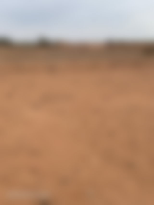 أرض فسيحة للبيع بآيت أورير قرب مراكش — 3