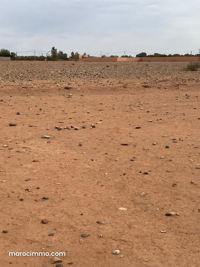 Exceptional Offer: Almost 2 Hectares in Ait Ourir — 3