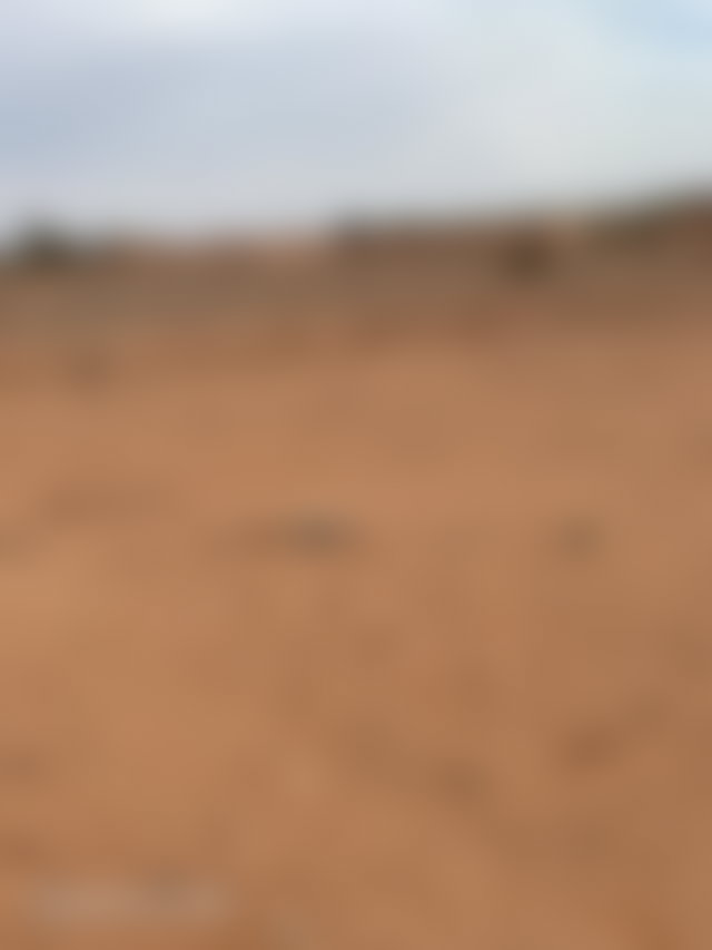 أرض فسيحة للبيع بآيت أورير قرب مراكش — 2