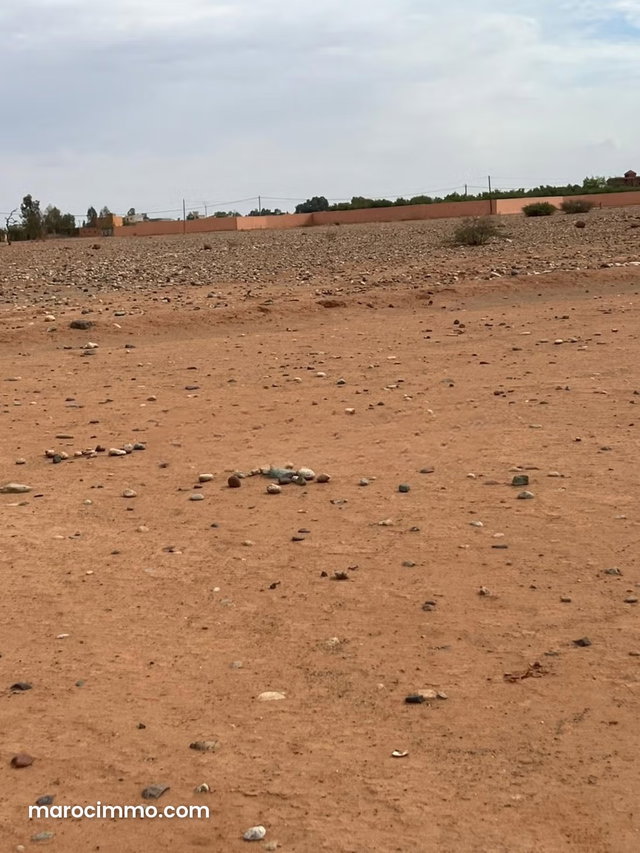 Exceptional Offer: Almost 2 Hectares in Ait Ourir — 2