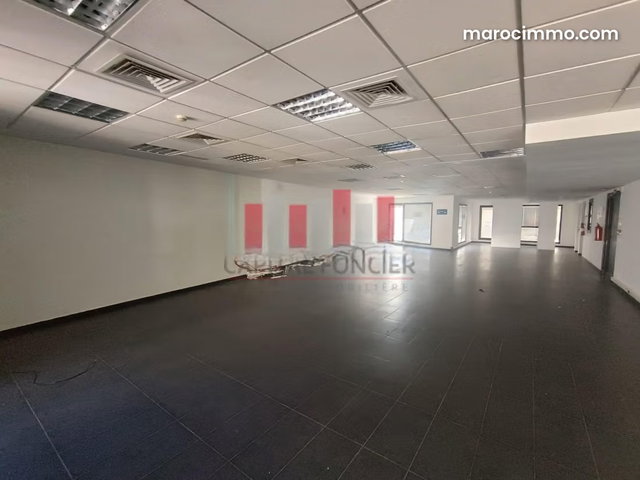 Top plateau bureau de 350m2 et 120m2 de terrasse à la location à Gauthier — 4
