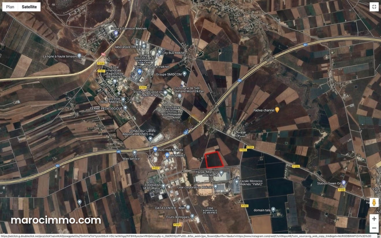 5-Hectare Farm for Sale Near Agropolis Meknes — Meknes