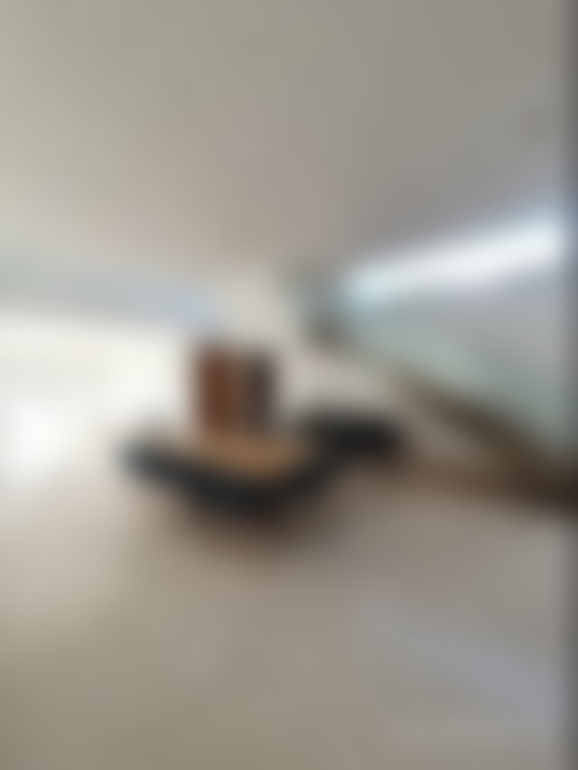 Villa meublée 700 m², jardin et piscine, C.I.L Casablanca — 3