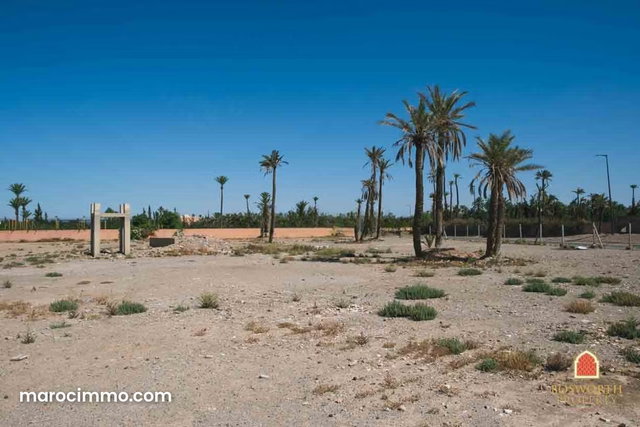 Strategic Palmeraie Building Land Sale Marrakech — 2