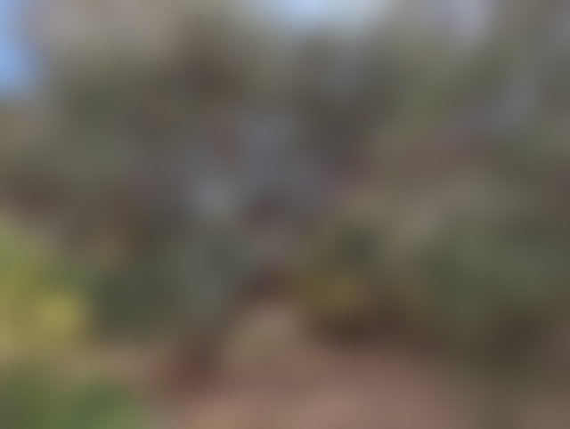 مزرعة أصيلة للبيع بطريق فاس في مراكش — 3