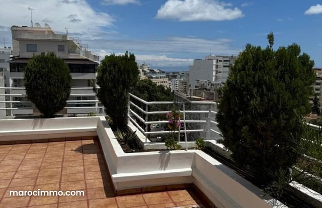 Apartment with Terrace for Rent, 235m², Iberia Quarter — 3
