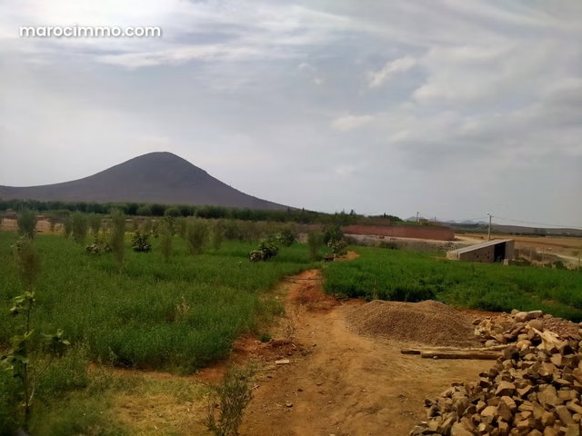 Jolie ferme à vendre à Route Casablanca. Surface totale 2000 m² — 3