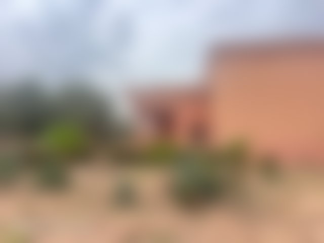 مزرعة مشجّرة 4 هكتارات بطريق فاس مراكش للبيع — 3