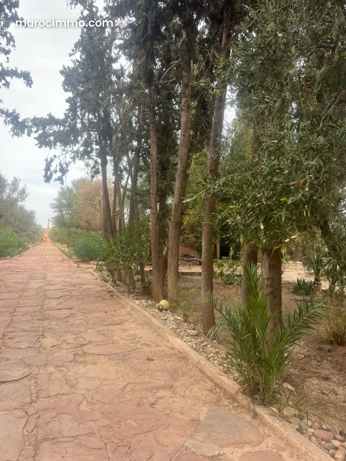 Landscaped 4-hectare farm on the Fez Road, Marrakech, for sale — Marrakesh