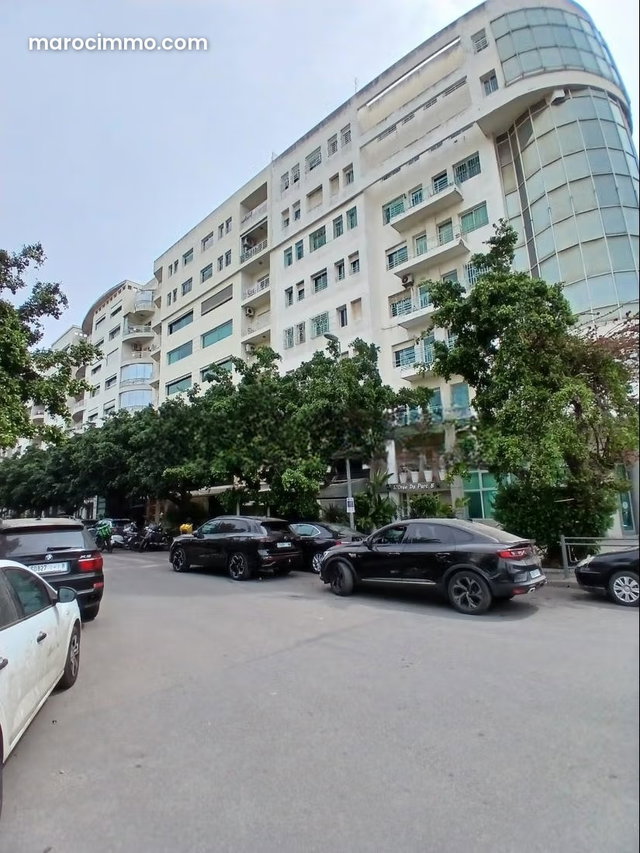 Palmier. École molière. Appartement 230m2. Terrasse 70m2. Location Meublé — 2