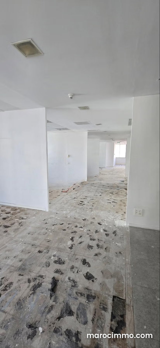 Magnificent office space for rent at the Marina — 4