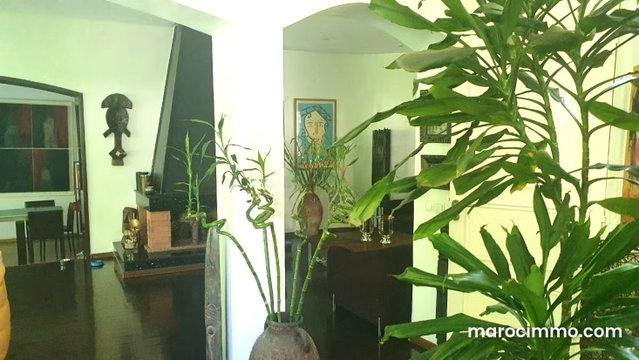 Local for Rent in Ain Diab — 2