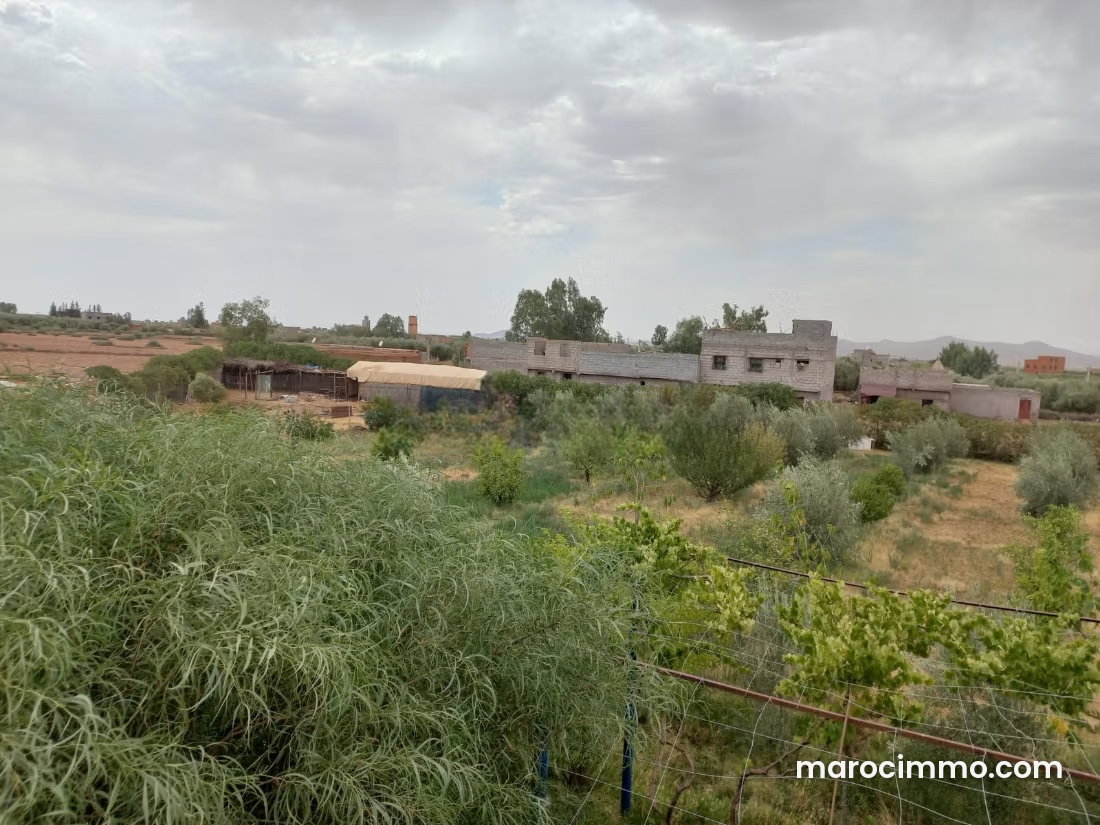 Terrain 1 hectare Route d'Ourika, Marrakech, divisible — Marrakech