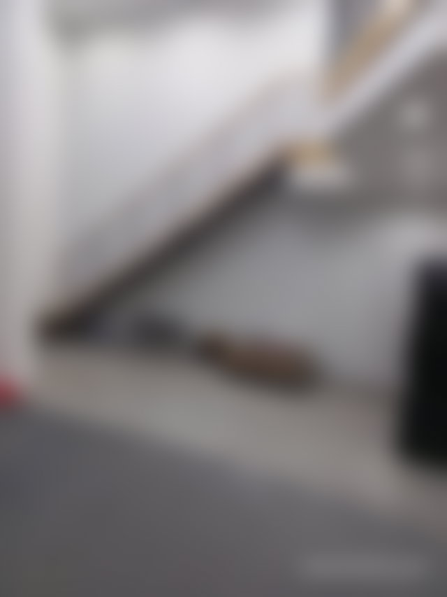 Local commercial 97 m², Beauséjour, Casablanca — 3