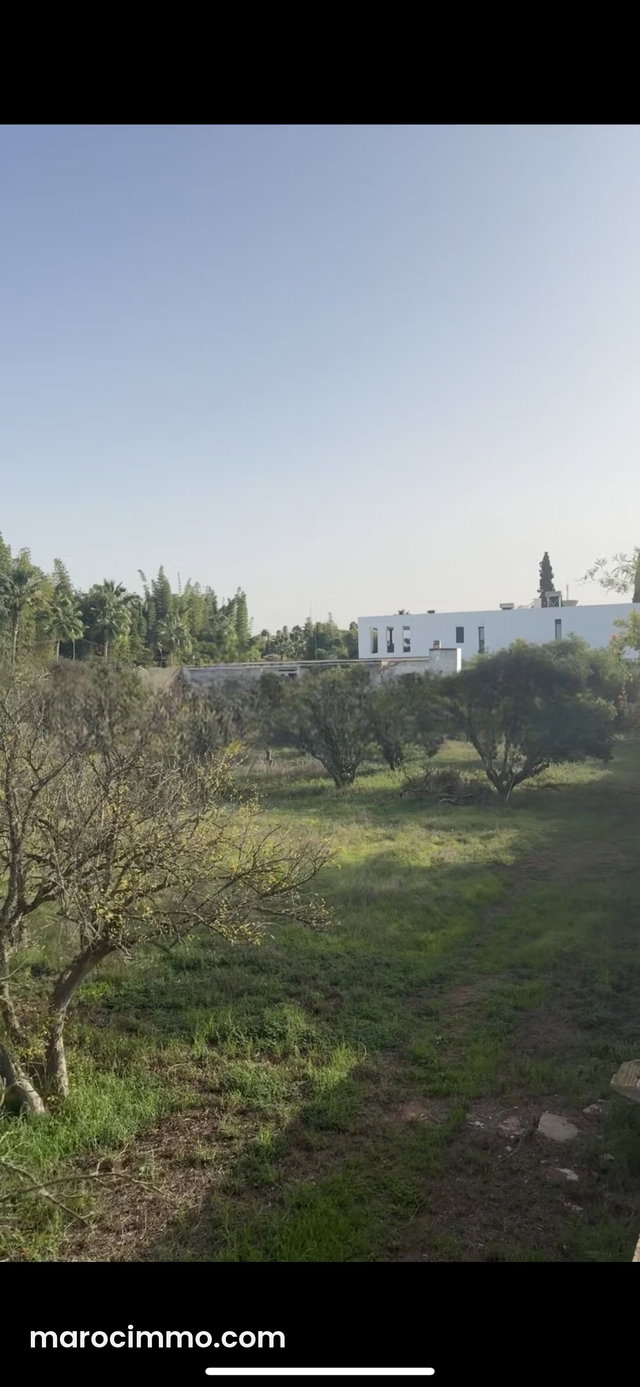 Terrain en vente à Souissi. Superficie 10420 m² — 4