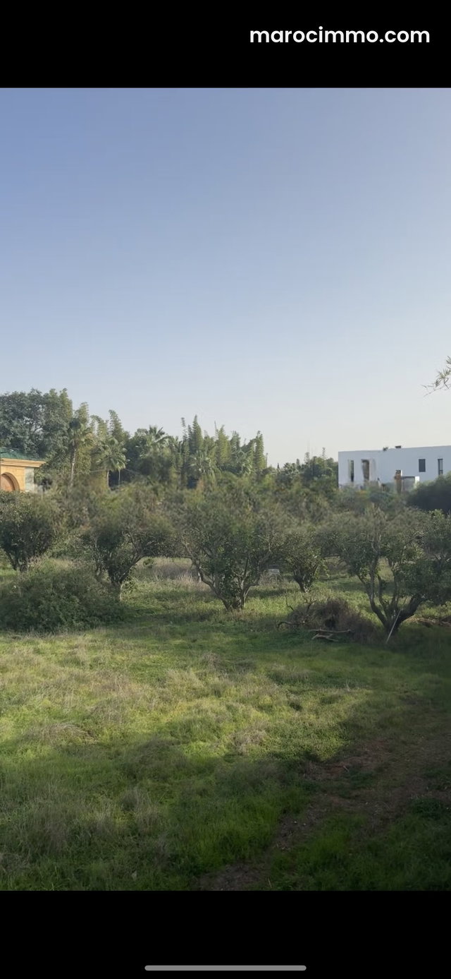 Terrain en vente à Souissi. Superficie 10420 m² — 3