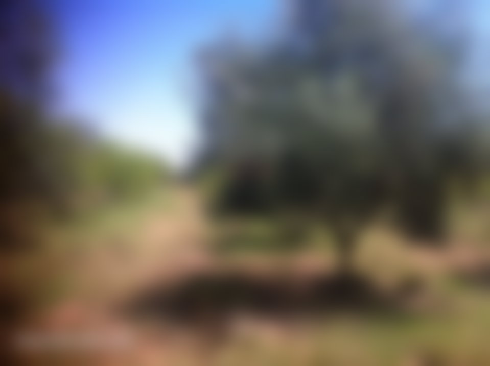 أرض خصبة 8268 م² للبيع بطريق أوريكا مراكش